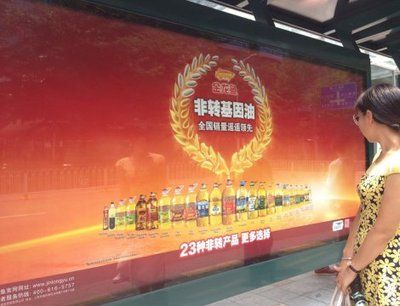 魚缸水全是水泡怎么辦（如何正確使用水質處理劑魚缸過濾裝置維護技巧）