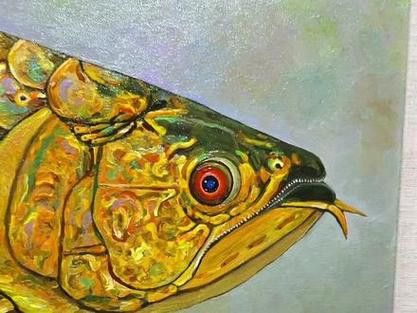 緬甸圖騰金龍魚圖片 緬甸圖騰金龍魚圖片 龍魚百科 第12張