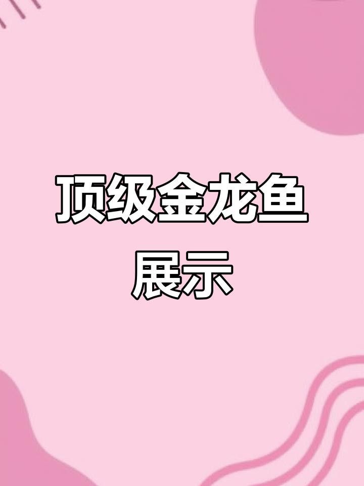 金龍魚視頻有哪些高清資源？