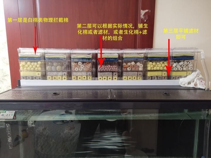 龍魚缸濾材怎樣擺放圖片視頻