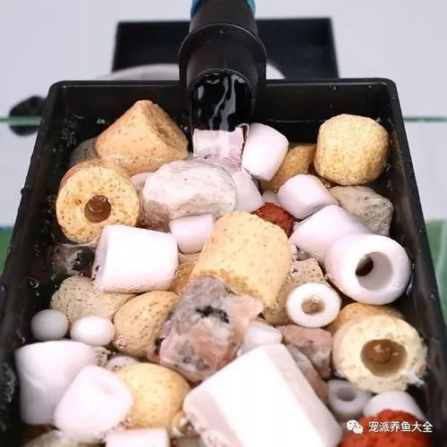 龍魚缸濾材怎樣擺放圖片視頻