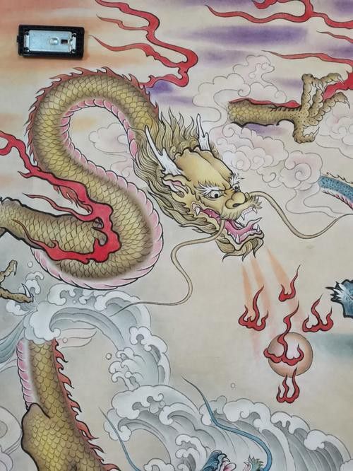 有沒有更多款式的道字雙龍圖壁紙？ 有沒有更多款式的道字雙龍圖壁紙？ 龍魚百科 第9張