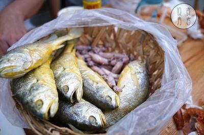 潮汕金龍魚是什么魚做的：潮汕金龍魚是一種觀賞魚，而不是烹飪的魚，而是一種觀賞魚