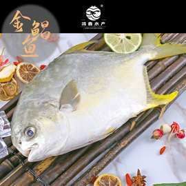 金鯧魚一般價(jià)格表