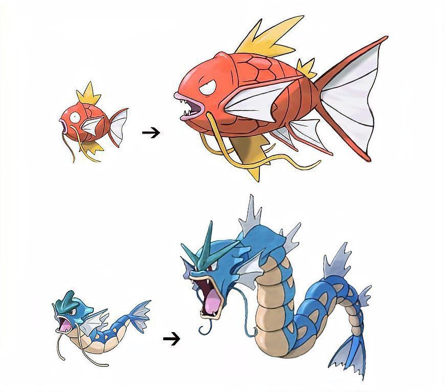 鯉魚王進化