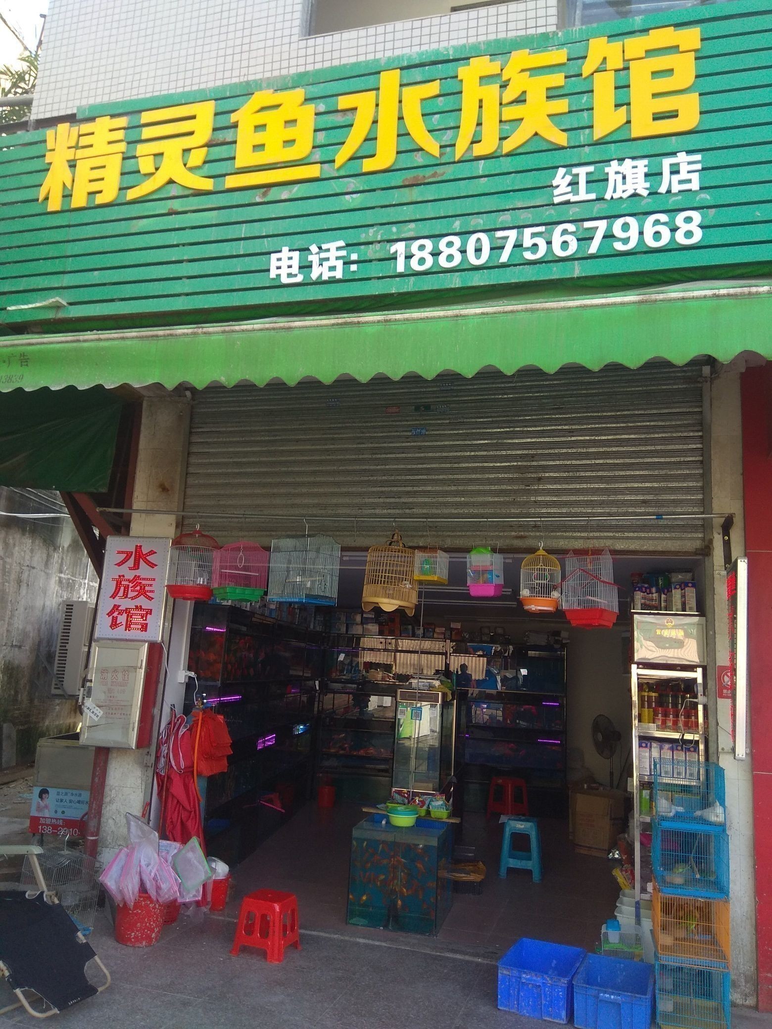 珠海魚缸 龍魚世家水族館認(rèn)真