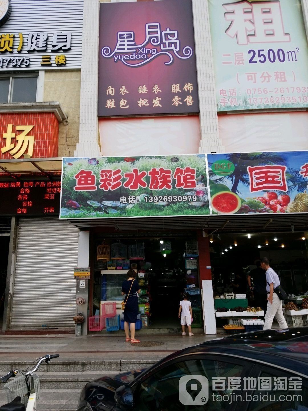 珠海魚缸 龍魚世家水族館認(rèn)真
