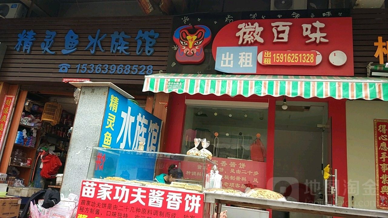 珠海魚缸 龍魚世家水族館認(rèn)真