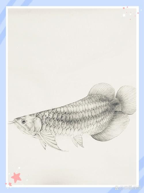 金龍魚國畫圖片大全欣賞