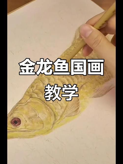 金龍魚國畫圖片大全欣賞