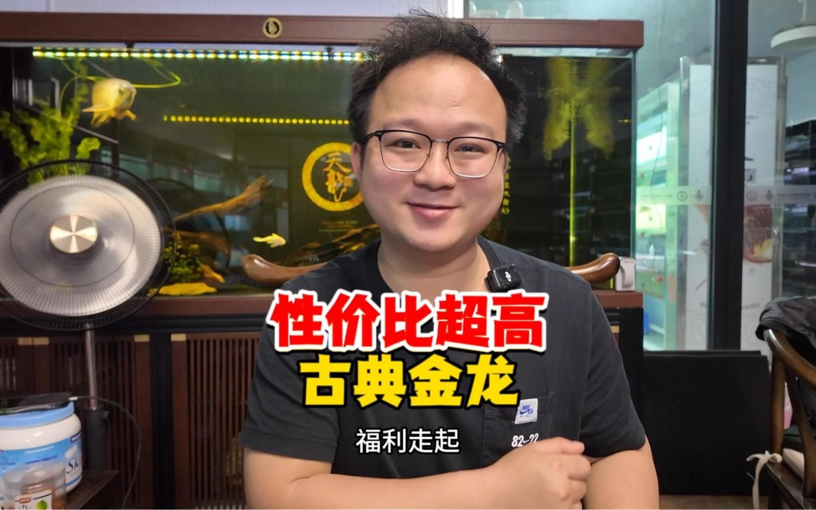 給我推薦一些性價比高的古典金龍 給我推薦一些性價比高的古典金龍 龍魚百科 第2張