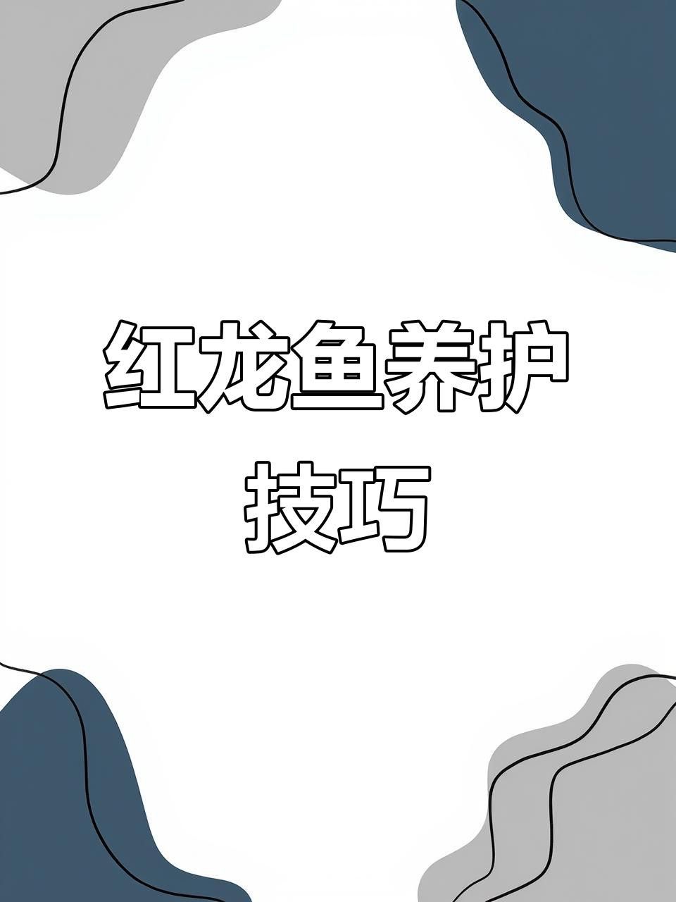 如何飼養印尼超血紅龍？ 如何飼養印尼超血紅龍？ 龍魚百科 第2張