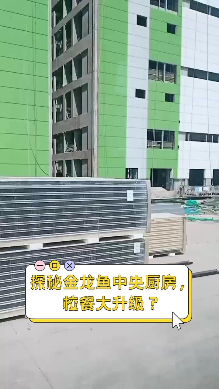 金龍魚預制菜的用戶評價如何？ 金龍魚預制菜的用戶評價如何？ 龍魚百科 第10張