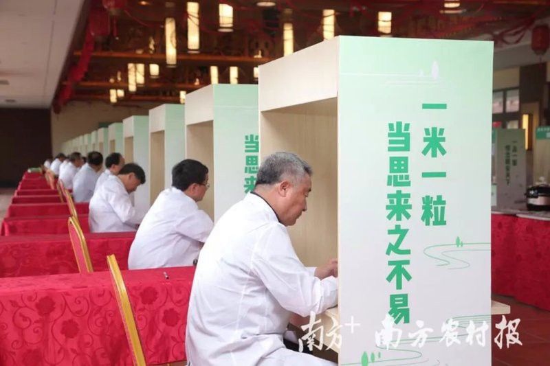 怎么看金龍魚血統真假 怎么看金龍魚血統真假 龍魚百科 第12張