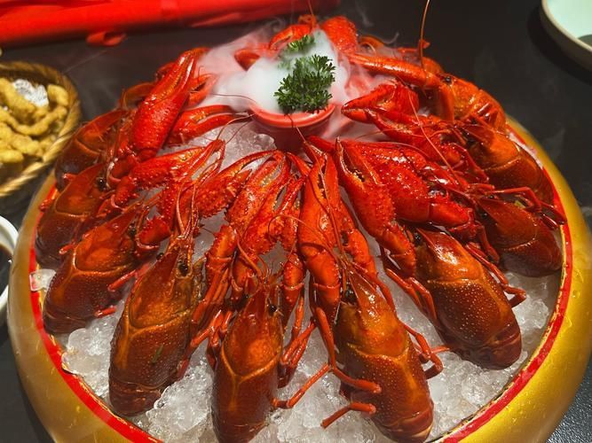 龍蝦圖片大全大圖