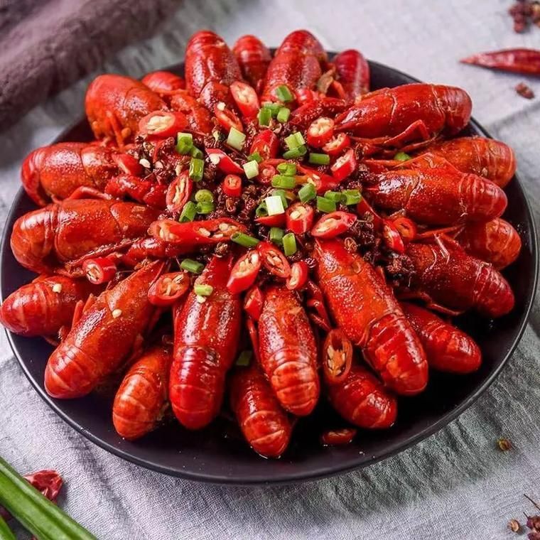 龍蝦圖片大全大圖