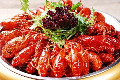 龍蝦圖片大全大圖