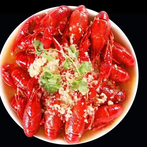 龍蝦圖片大全大圖