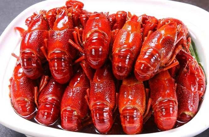 龍蝦圖片大全大圖