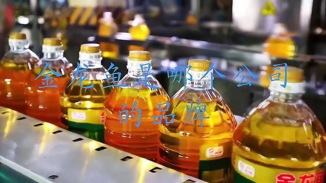金龍魚有什么品牌