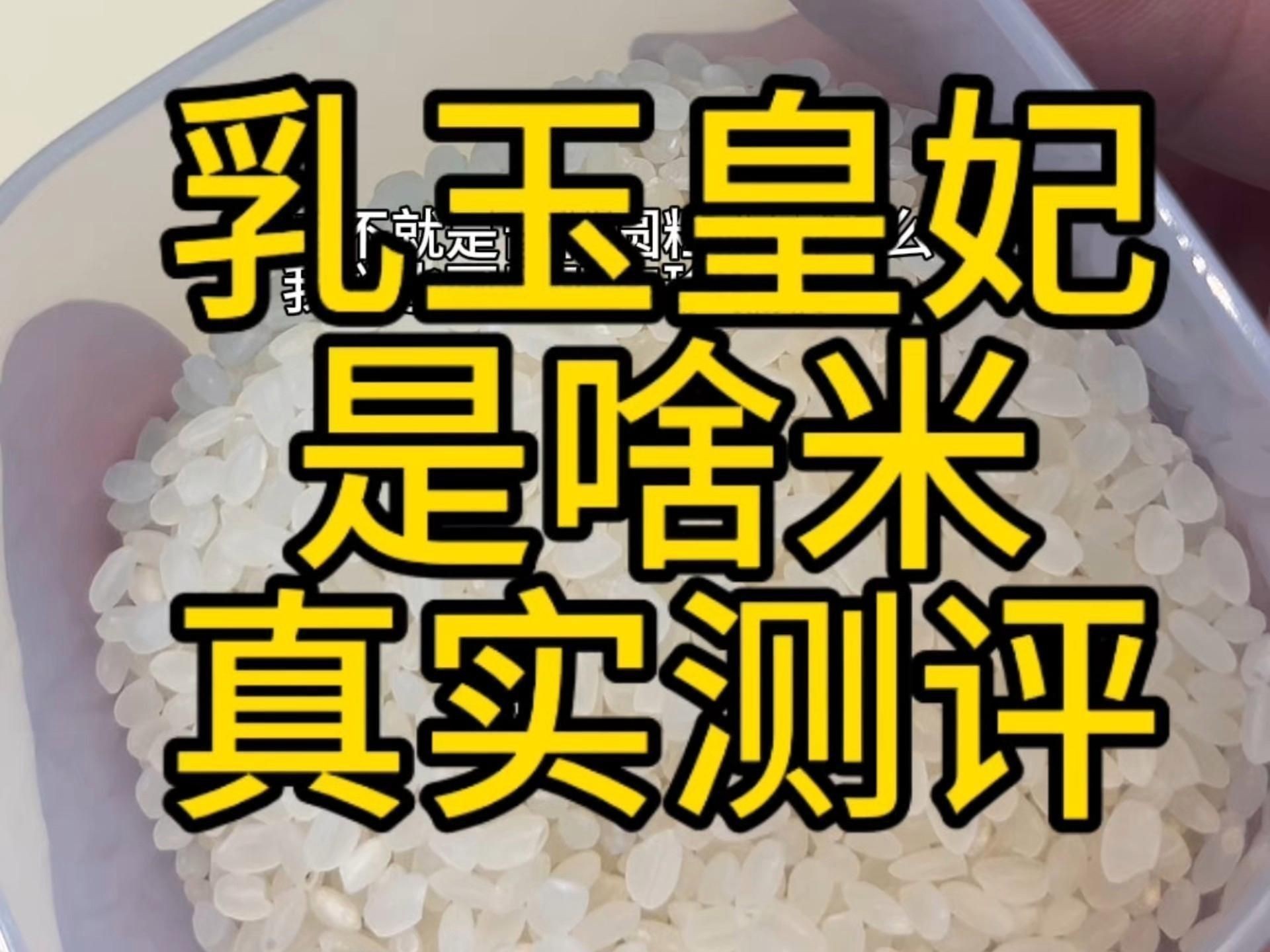 金龍魚有什么品牌