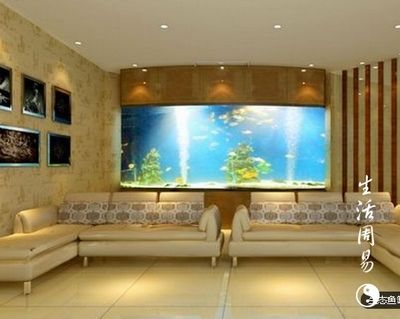 客廳金魚缸的擺放風水位置圖片（客廳金魚缸最佳風水方位金魚缸擺放避免哪些位置）