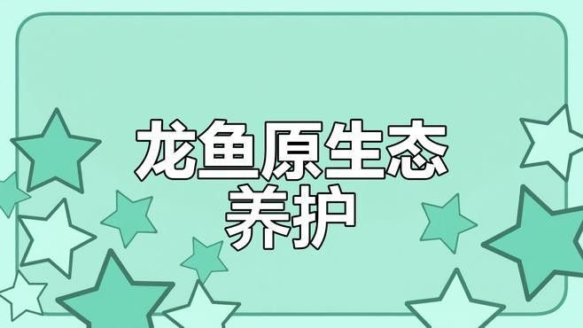 軟礦石塘泥養龍魚