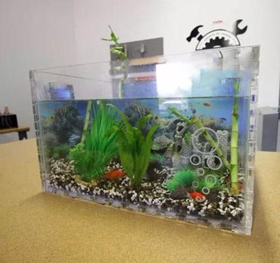 龍魚最好吃十大品牌