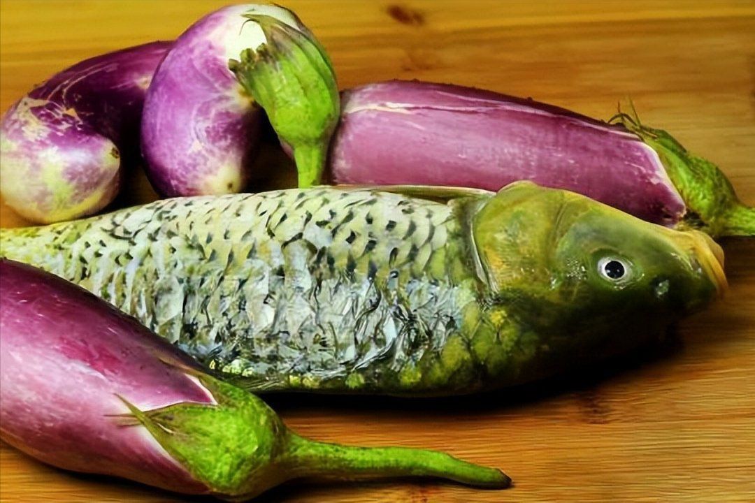 鯉魚為啥現(xiàn)在很多人不吃
