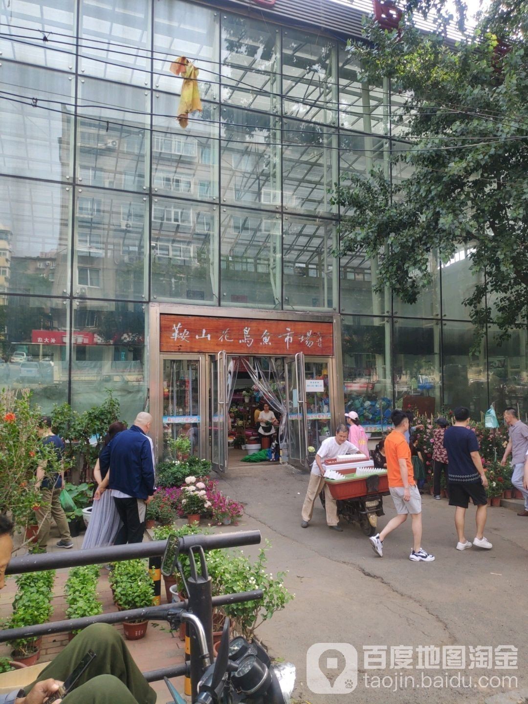 鞍山金龍魚批發(fā)市場地址電話