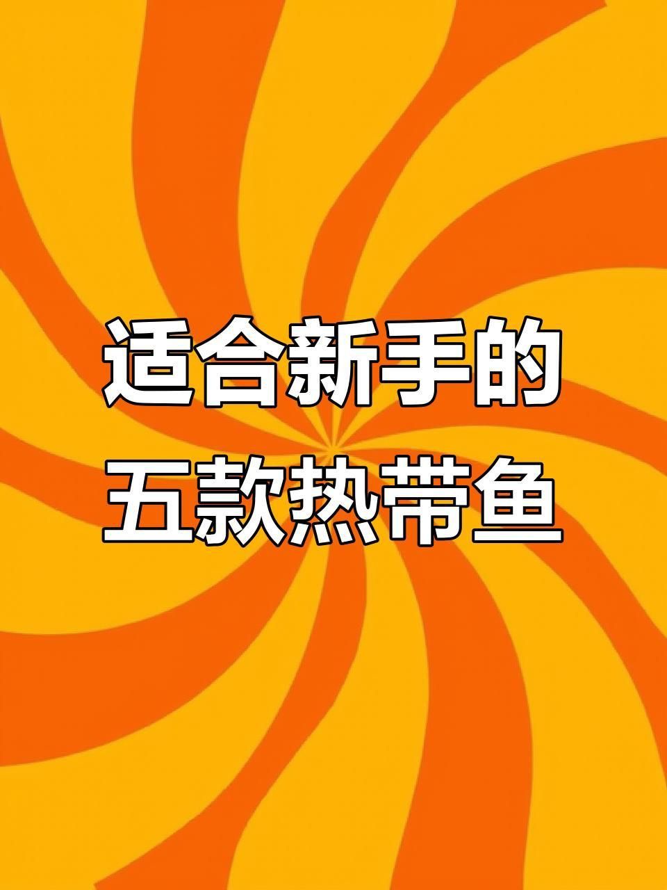 什么觀賞魚