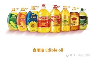 金龍魚行業排名榜單（金龍魚品種排行榜）