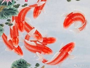 龍魚對哪些生肖的人最有利？ 龍魚對哪些生肖的人最有利？ 龍魚百科 第1張