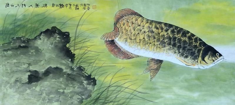 龍魚對哪些生肖的人最有利？ 龍魚對哪些生肖的人最有利？ 龍魚百科 第3張