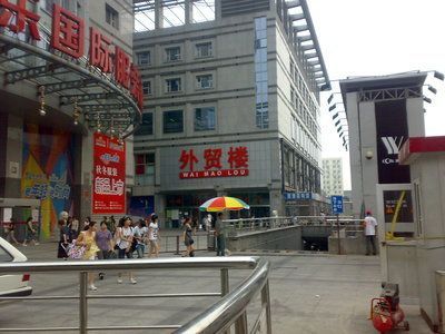 廣東金龍魚批發市場在哪里（廣東金龍魚批發市場位置）