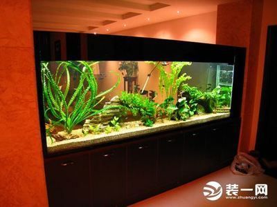 圓形魚缸安裝視頻教程，圓形魚缸過濾系統選擇指南