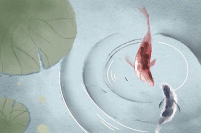 家養(yǎng)龍魚(yú)死了是兇是吉：家養(yǎng)龍魚(yú)的死亡具體是吉是兇，龍魚(yú)養(yǎng)殖常見(jiàn)誤區(qū)有哪些
