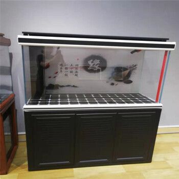 龍魚魚缸的裝飾品選擇（適合龍魚魚缸的裝飾品建議：適合龍魚生活的魚缸裝飾品）