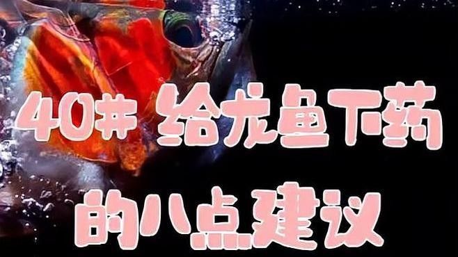 龍魚用藥注意事項有哪些