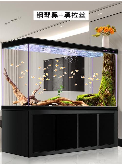 龍魚缸與家具搭配圖片