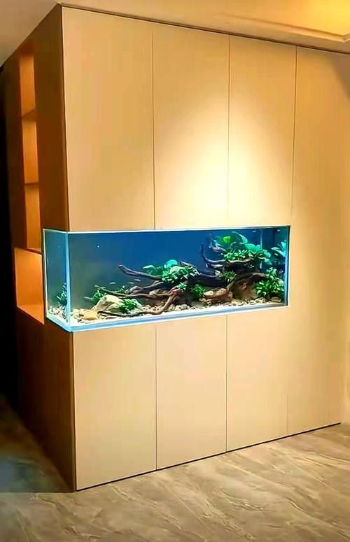 龍魚缸與家具搭配圖片