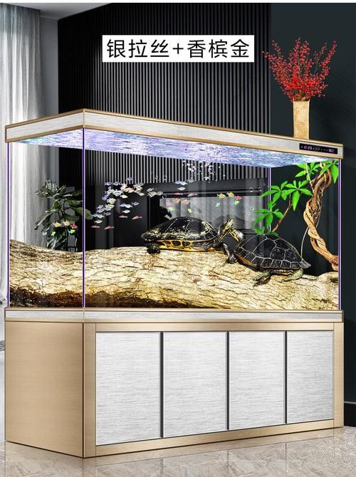 龍魚缸與家具搭配圖片