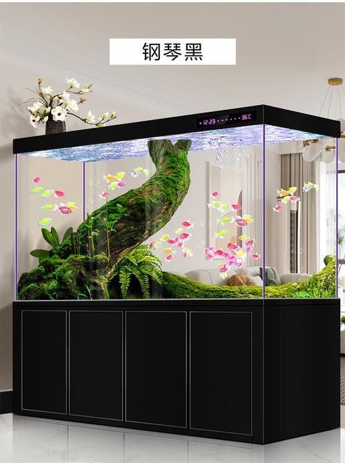 龍魚缸與家具搭配圖片