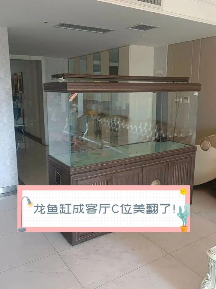 龍魚缸與家具搭配圖片