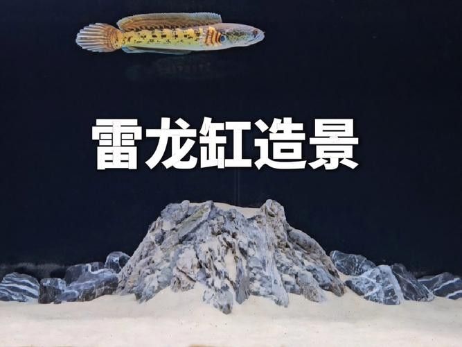 龍魚缸與家具搭配圖片