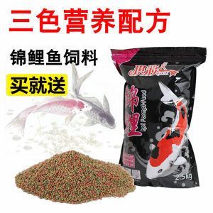 小龍魚怎么喂飼料：小龍魚怎么喂飼料，小龍魚的喂食方法包括以下幾個方面