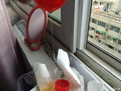 金龍魚1:1調和油真偽的辨別方法，怎樣辨別金龍魚真偽：如何辨別金龍魚1:1:1調和油真偽 金龍魚1:1調和油真偽的辨別方法，怎樣辨別金龍魚真偽：如何辨別金龍魚1:1:1調和油真偽 龍魚百科 第2張