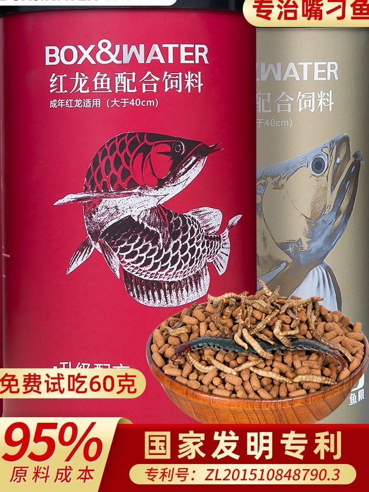 金龍魚發(fā)色期間需要喂什么食物？