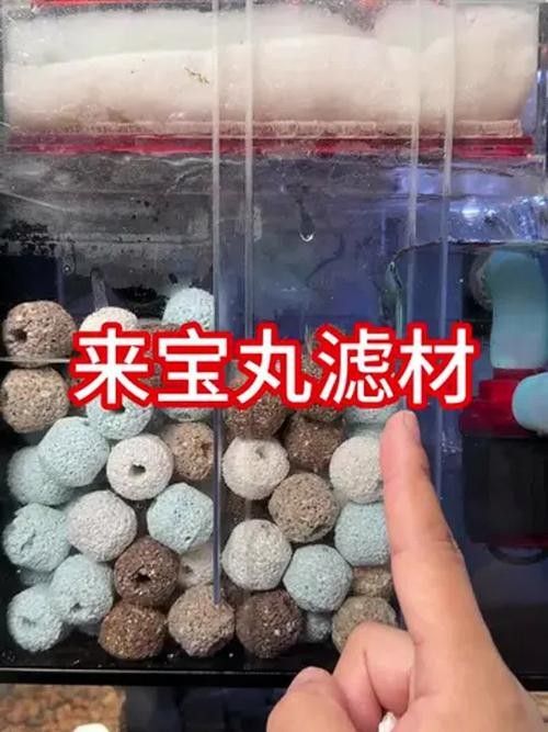龍魚濾材哪個牌子好一點兒啊 龍魚濾材哪個牌子好一點兒啊 龍魚百科 第9張