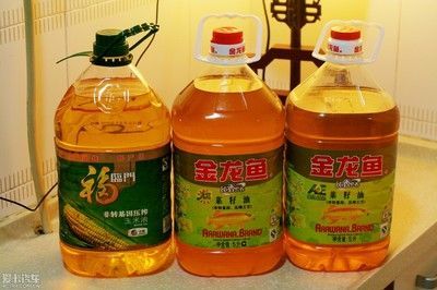 金龍魚配料【金龍魚的飼養與配料】